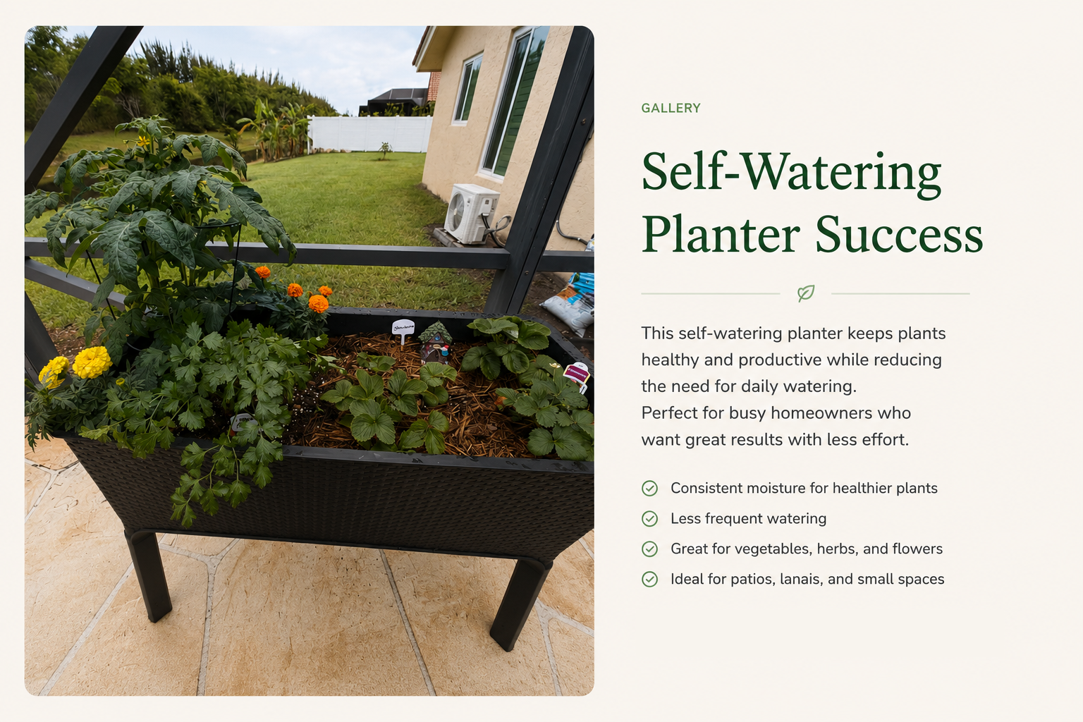 Self-Watering Planter Success success story from Xtrategic Garden Solutions.