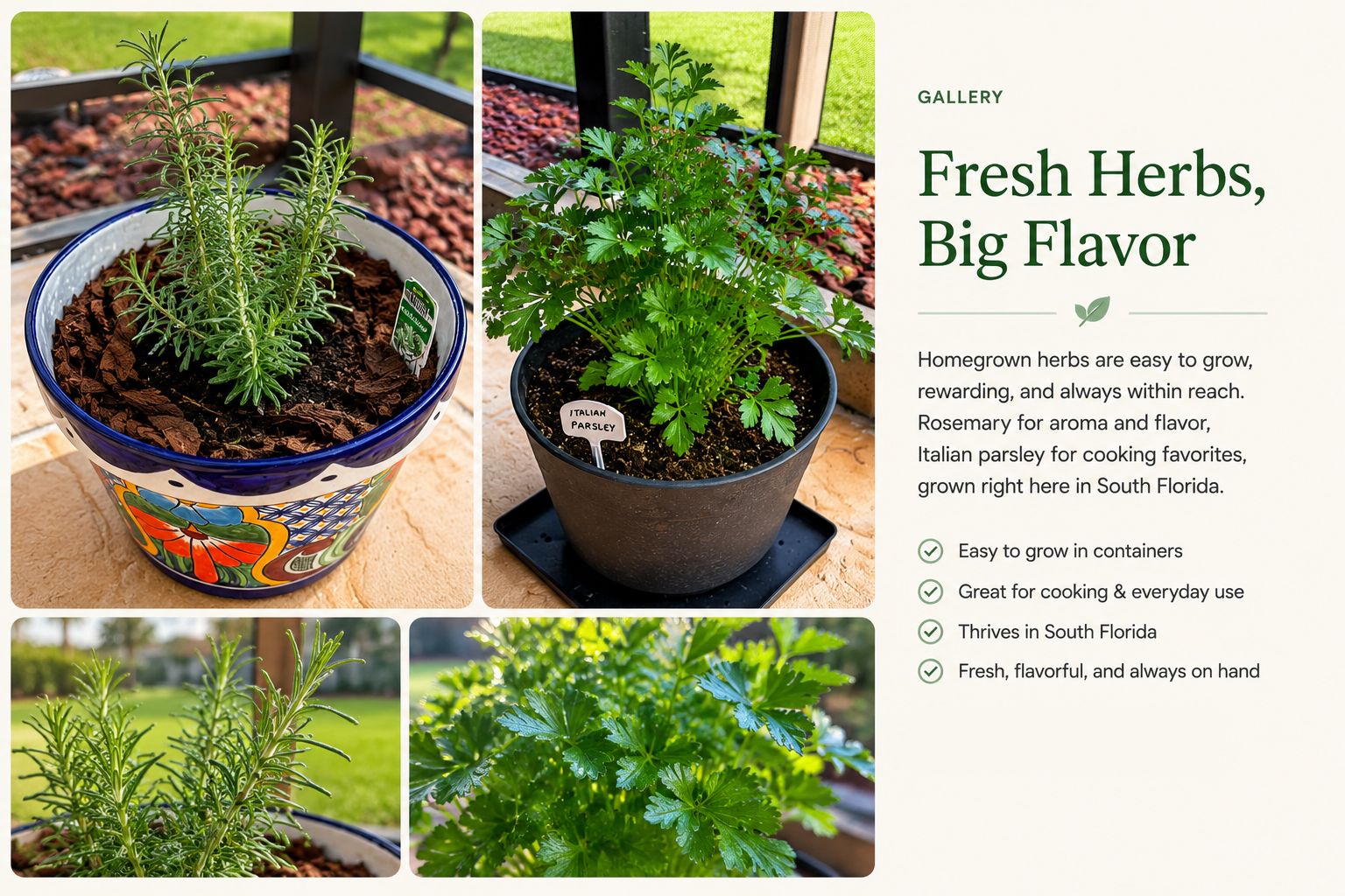 Fresh Herbs, Big Flavor success story from Xtrategic Garden Solutions.