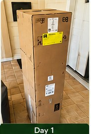 Fig tree delivery box on the floor.