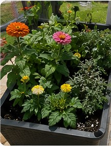 Self-watering planter full of flowers and herbs.